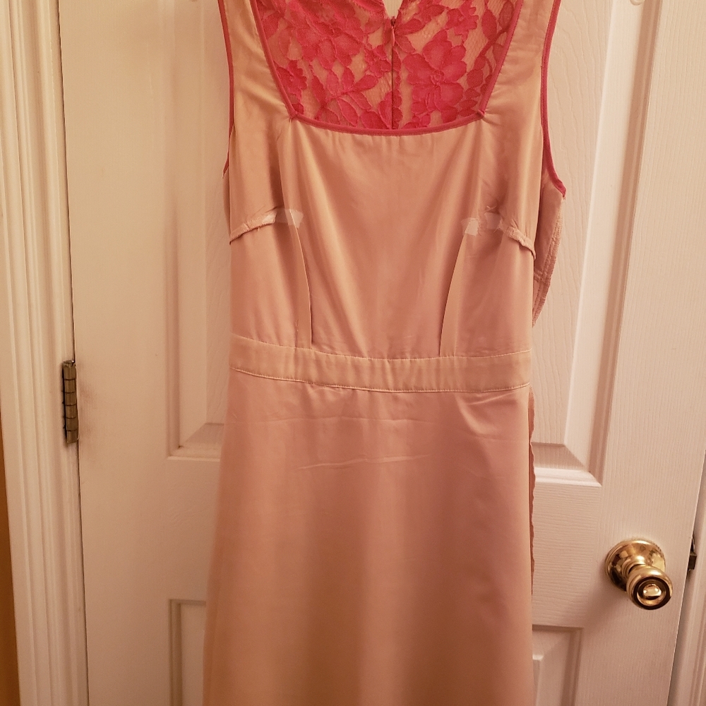 The limited brand dress. - Picture 11 of 11